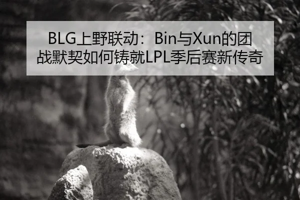 BLG上野联动：Bin与Xun的团战默契如何铸就LPL季后赛新传奇