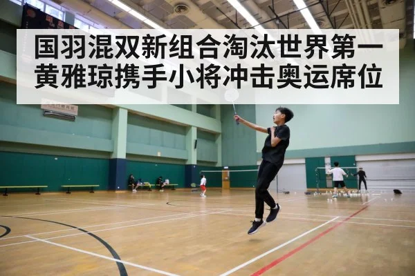 badminton court action